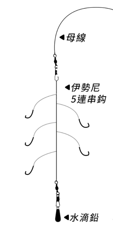 沉底釣法教學：從釣組到技巧全解析
