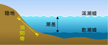 釣魚如何看潮水：掌握潮汐