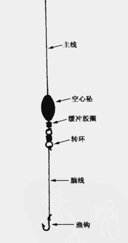 波子壓底釣組：裝備、技巧與目標魚種
