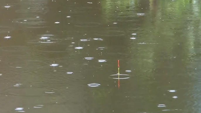晴天、陰天與雨天對釣魚的影響